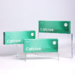 CALYSSE2