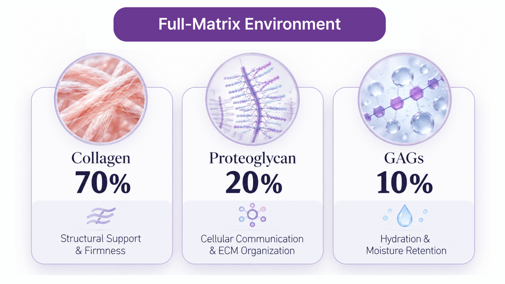 Full-matrix composition of collagen proteoglycans and GAGs in Organoid ECM